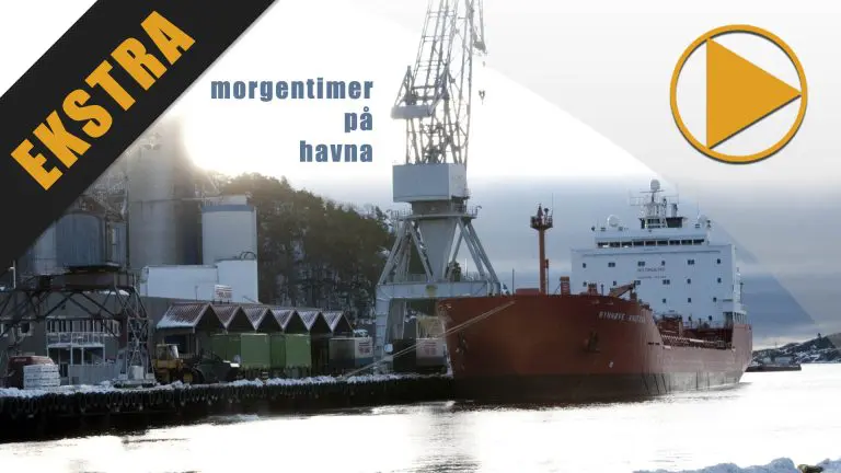 Morgentimer på havna