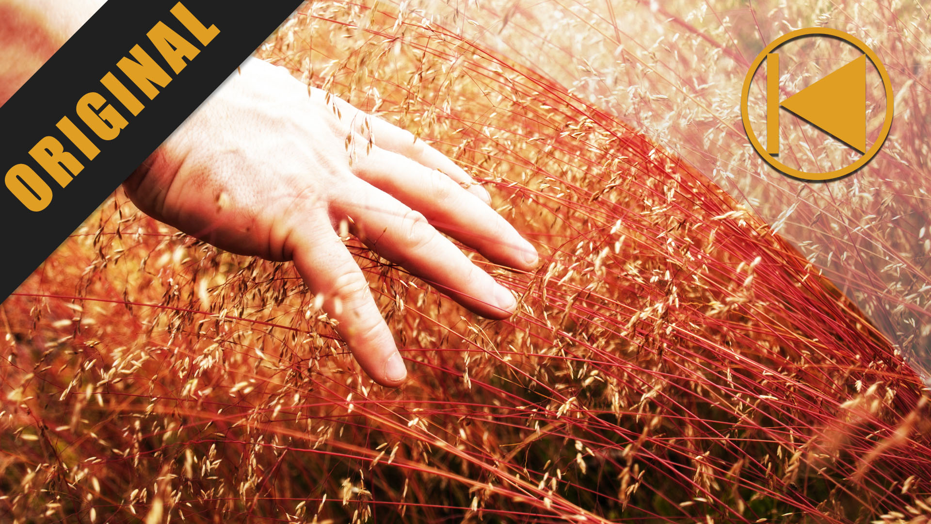 Skjegg i Mobil: Original