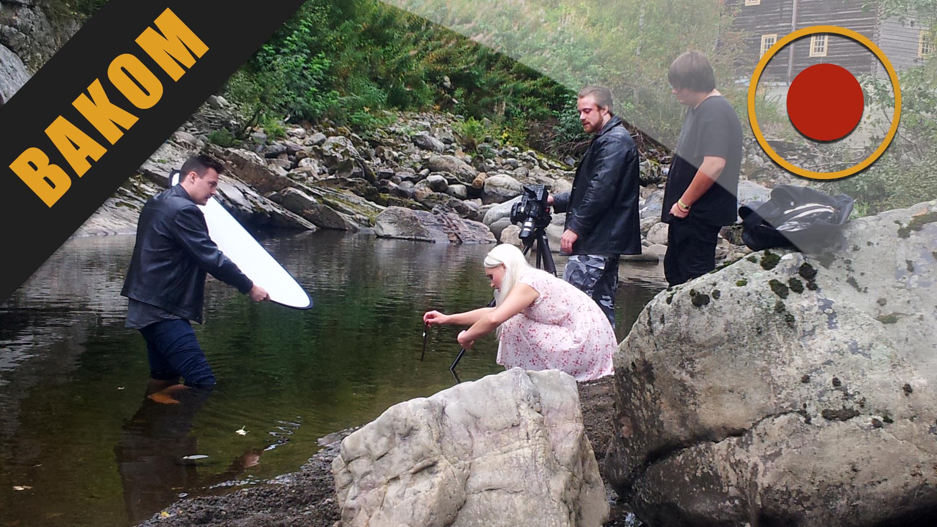 Skjegg i Mobilkvalitet